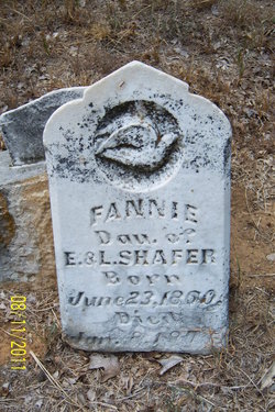 Fannie Shafer 