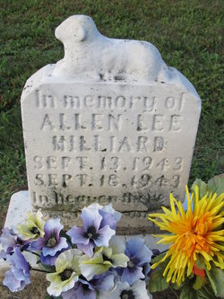 Allen Lee Hilliard 