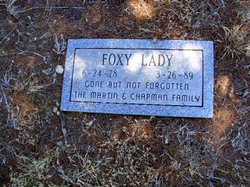 Foxy Lady 
