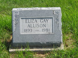 Eliza Gay Allison 