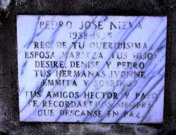 Pedro Jose Nieva 