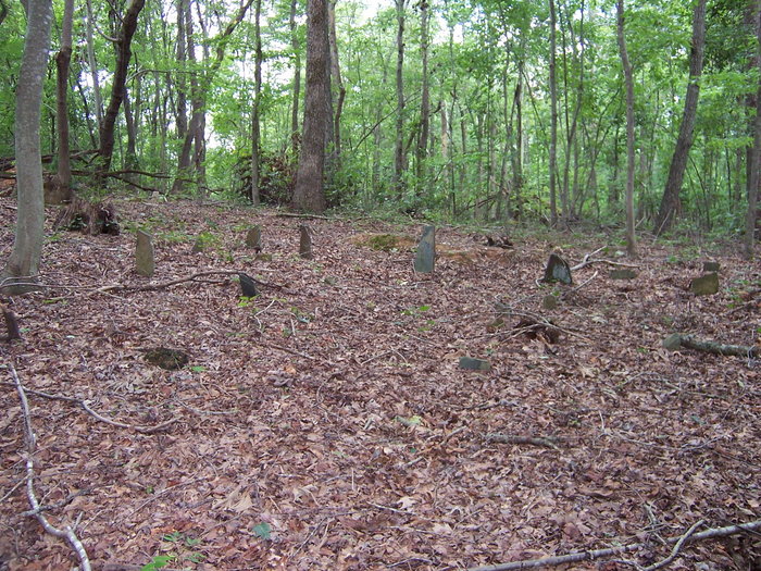 Barnhardt Family Slave Cemetery