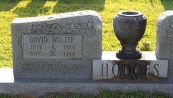 David Walter Hodges 