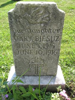 Mary C Biesuz 