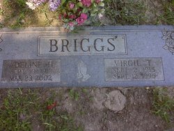 Virgil Thomas Briggs 
