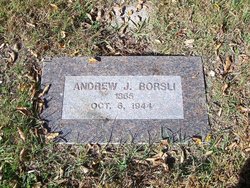 Andrew J. Borslien 