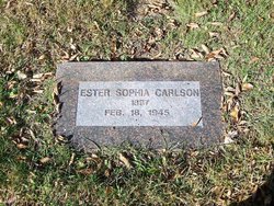 Ester Sophia Carlson 