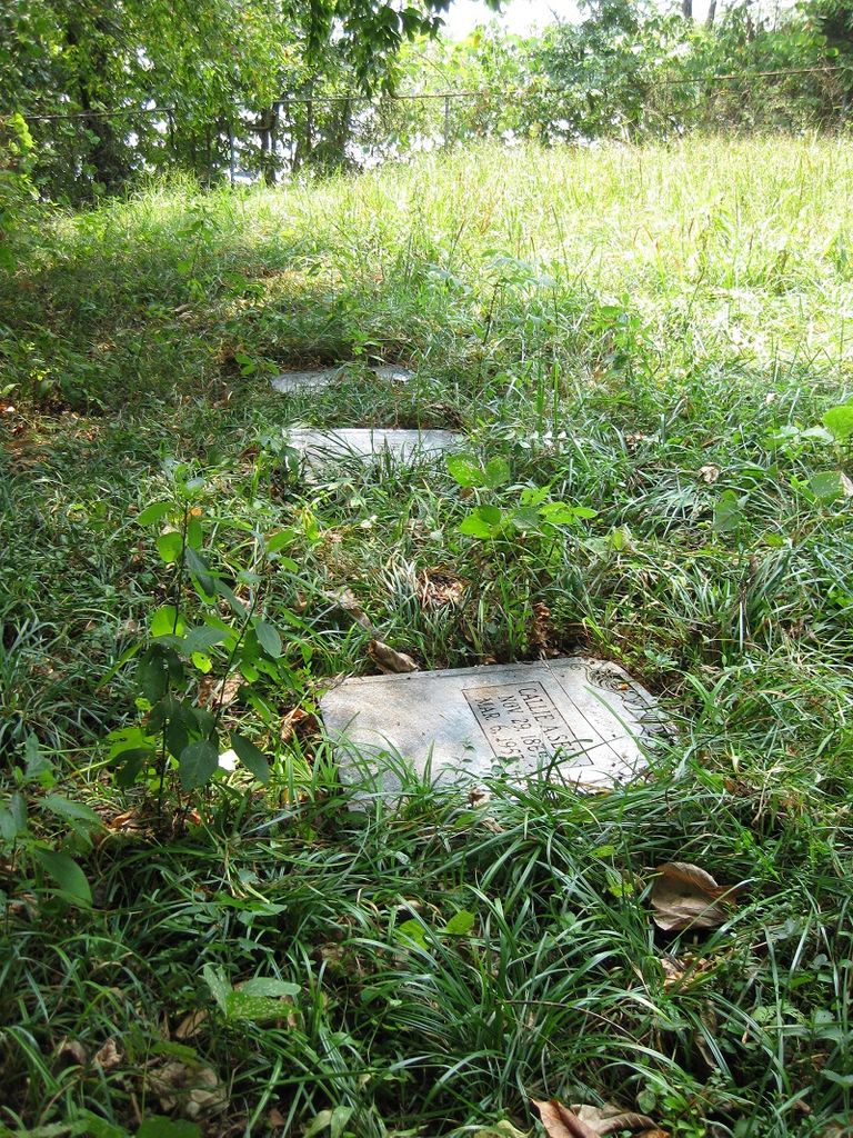 Adam Sell Farm Cemetery