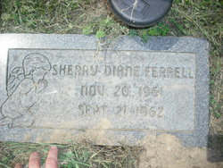 Sherry Diane Ferrell 