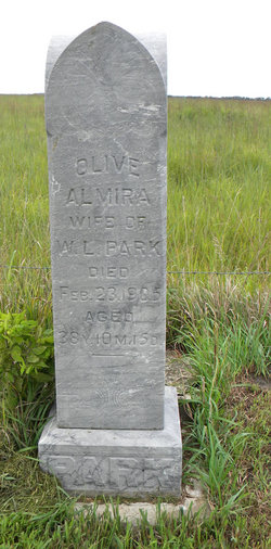 Olive Almira <I>Lillibridge</I> Park 