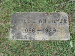 Alfred J Whittemore 