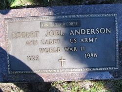 Robert Joel Anderson 