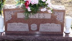 Mary Amelia <I>Inslee</I> Jones 