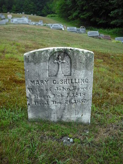 Mary Catharina <I>Shilling</I> Bower 