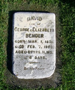 David Bender 