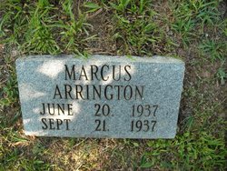Marcus Arrington 
