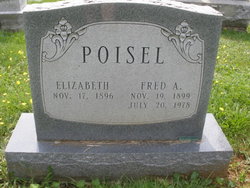 Elizabeth S Poisel 