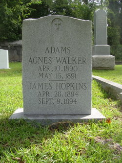 James Hopkins Adams III