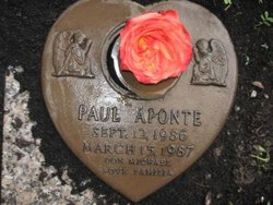 Paul Aponte 