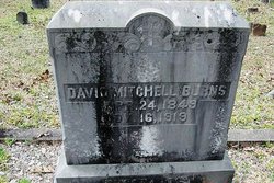 David Mitchell Burns IV