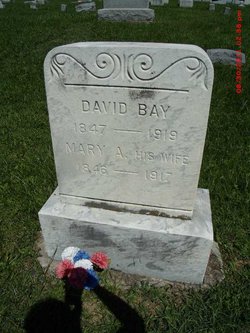 David Bay 