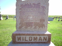 James Wildman 