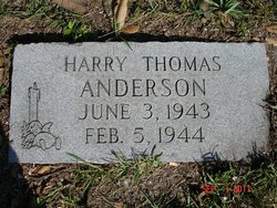 Harry Thomas Anderson 