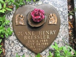 Duane Henry Bressler 