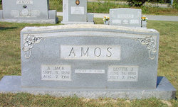 Lottie <I>Joyce</I> Amos 