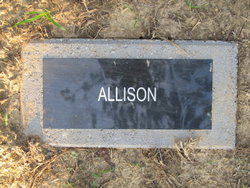Allison 