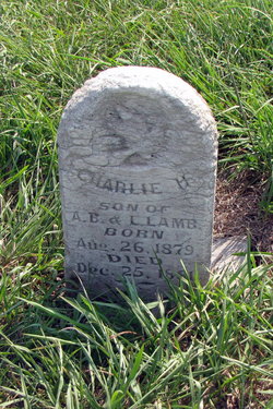 Charlie H. Lamb 