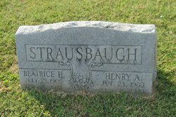 Henry Asbury Strausbaugh 