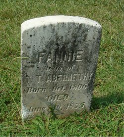 Frances “Fannie” <I>Whitener</I> Abernethy 