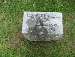 Elizabeth A. <I>Bull</I> Anderson 