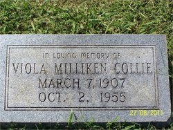 Viola <I>Milliken</I> Collie 