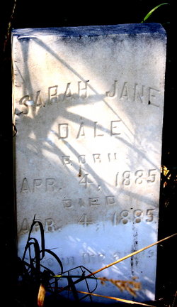Sarah Jane Dale 