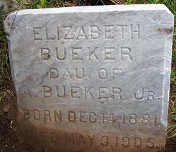 Laura Elizabeth Bueker 