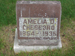 Amelia D Chesebro 