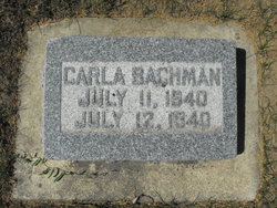 Carla Bachman 