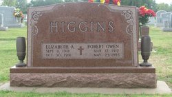 Elizabeth Ann “LIZZIE” <I>BATES</I> Higgins 