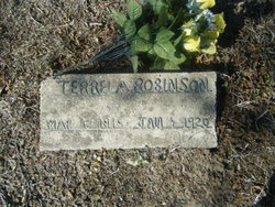 Terrel A. Robinson 