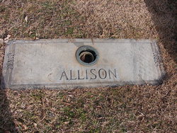 Annie Mary <I>Mauldin</I> Allison 
