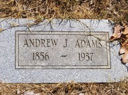 Andrew J Adams 
