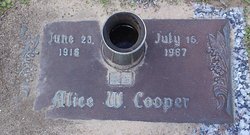 Alice W Cooper 