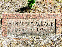 Henry M. Wallace 