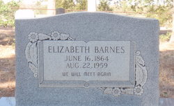 Elizabeth Barnes 