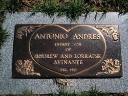 Antonio Andres Avinante 