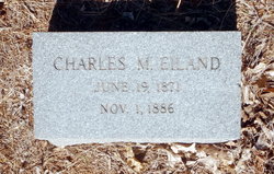 Charles M Eiland 