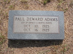 Paul Deward Adams 