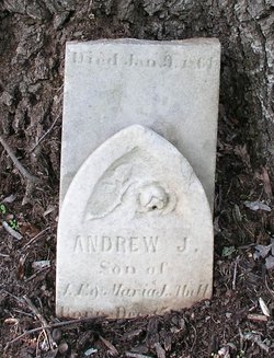 Andrew J Abell 